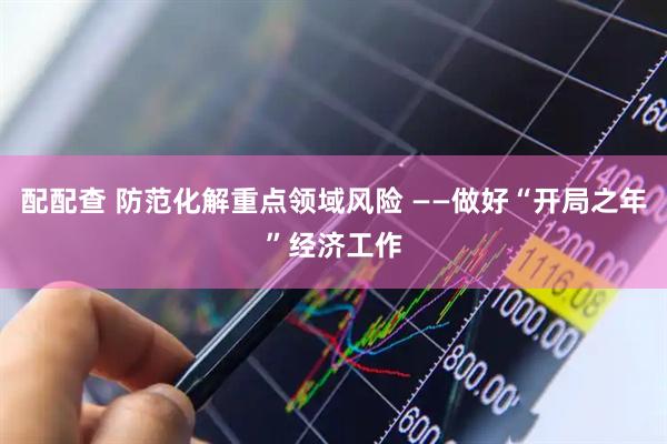 配配查 防范化解重点领域风险 ——做好“开局之年”经济工作