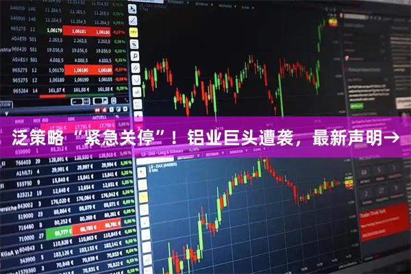 泛策略 “紧急关停”！铝业巨头遭袭，最新声明→