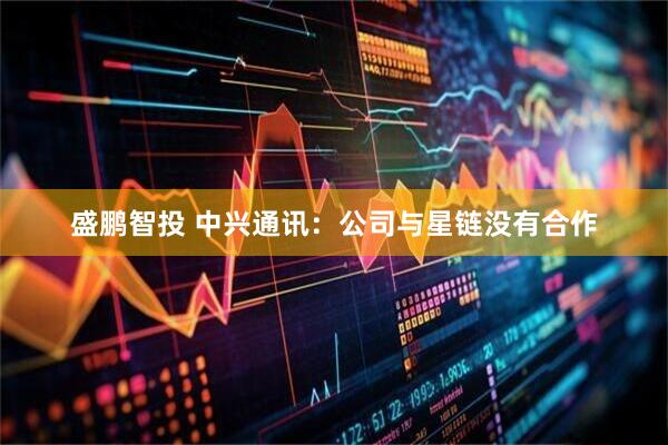 盛鹏智投 中兴通讯：公司与星链没有合作